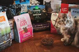 Praise from Malaysian client for cat food packing machine